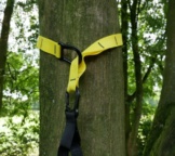 Trx Schlingentrainer Befestigung Baum